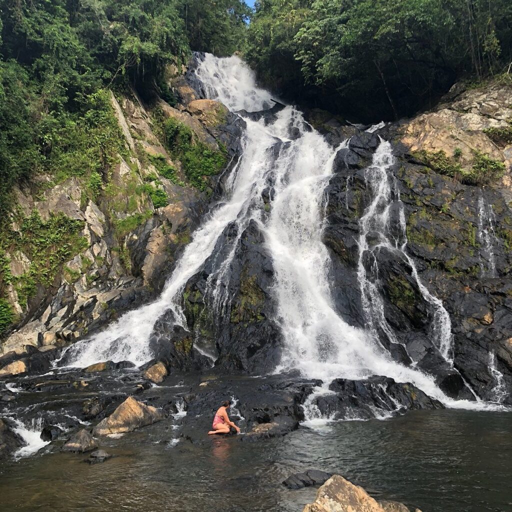 1bfd4c9a5561457e96754b87c23a4e17