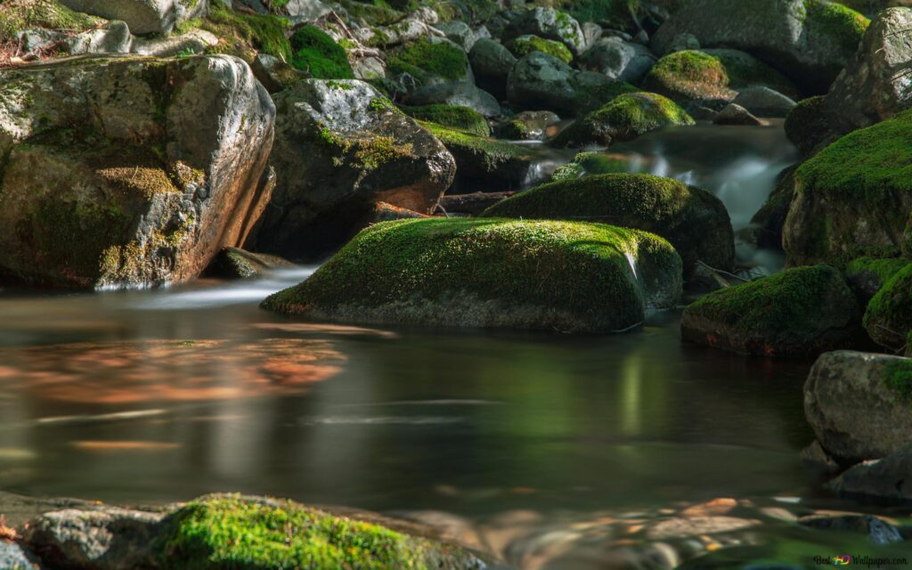 d1238d9a59af4f0eb50249054baa76b1