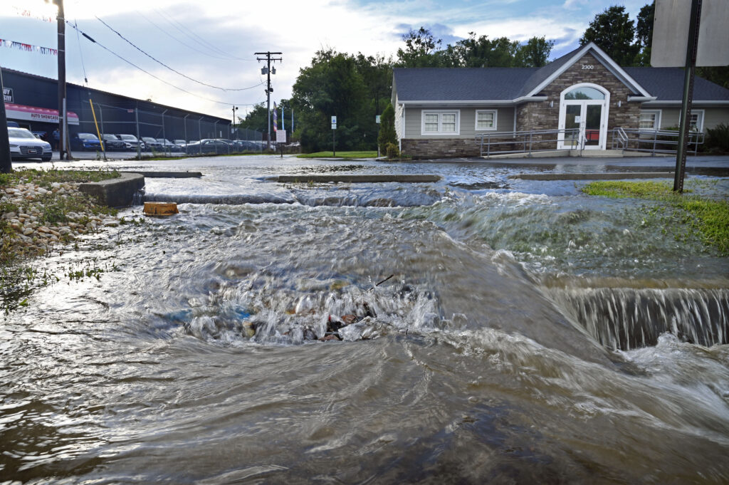 d5d1398f9383476982bba70fa5341778