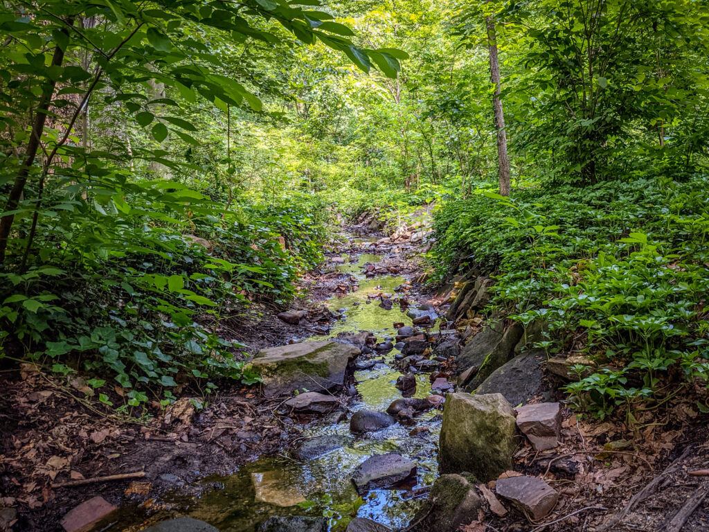 f9b2aeb0a0654c6a8d2ecace99060aa6