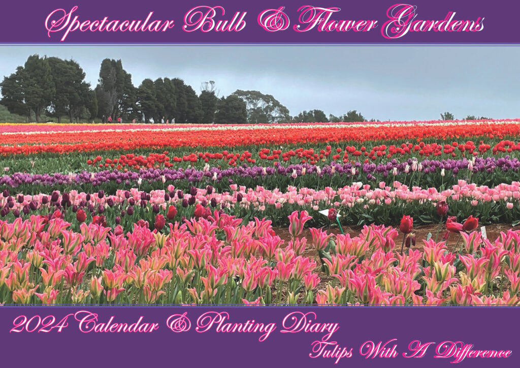 Daffodil Parade 2024