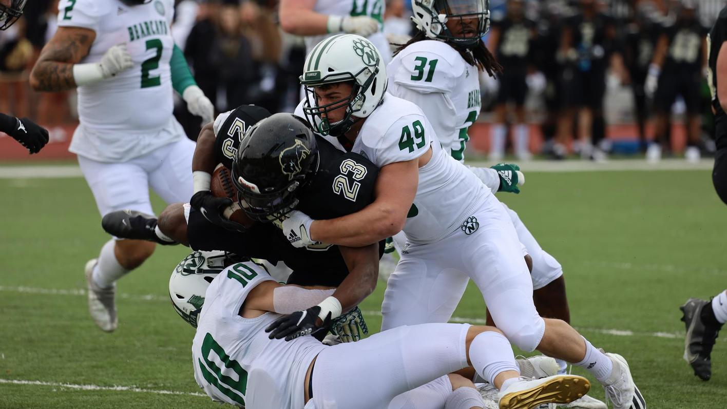 Fayetteville Bulldogs High School Football Unleashing the Championship