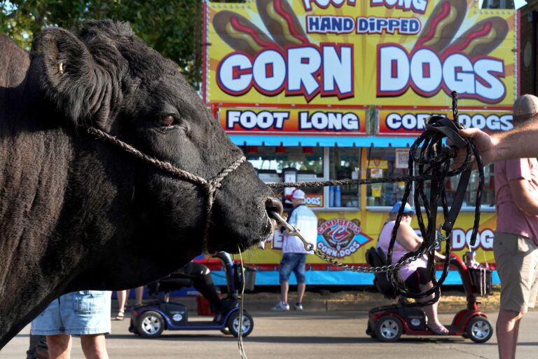 Iowa State Fair 2024