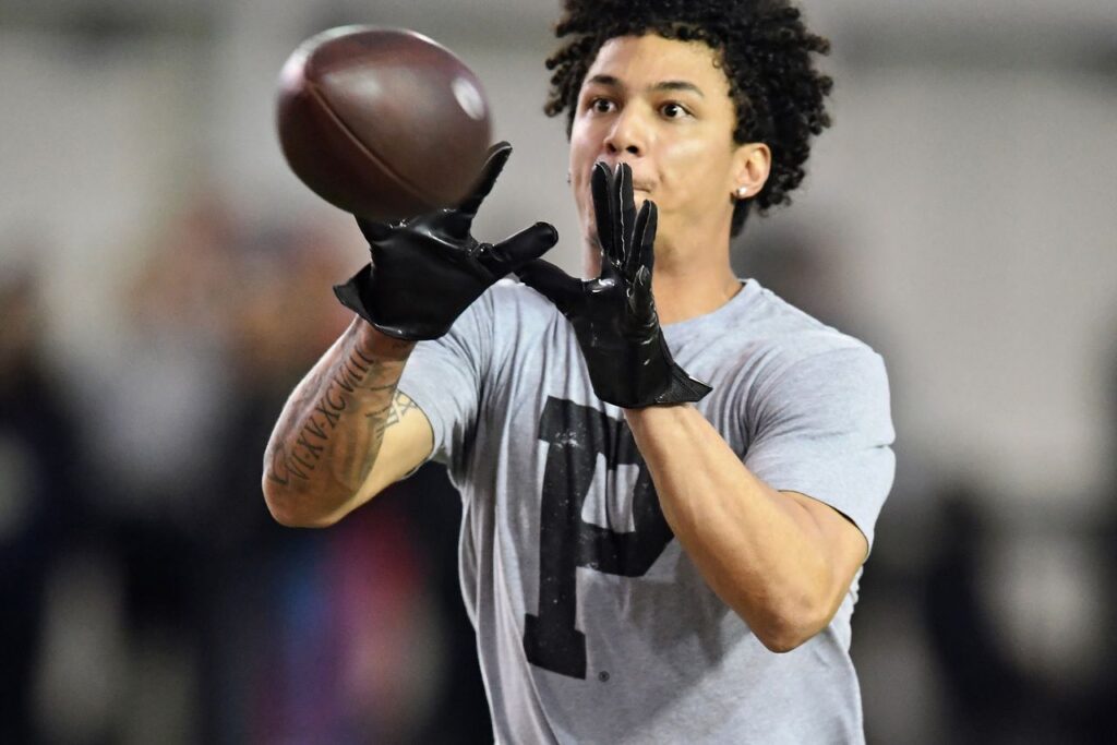 Oregon Players in Nfl