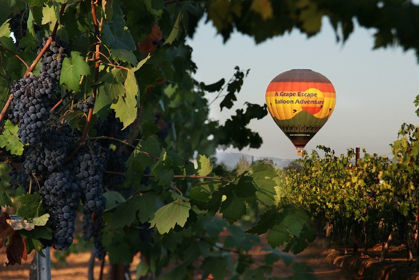 What to Wear to a Vineyard
