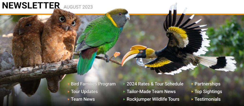 Chase Rice Tour 2024