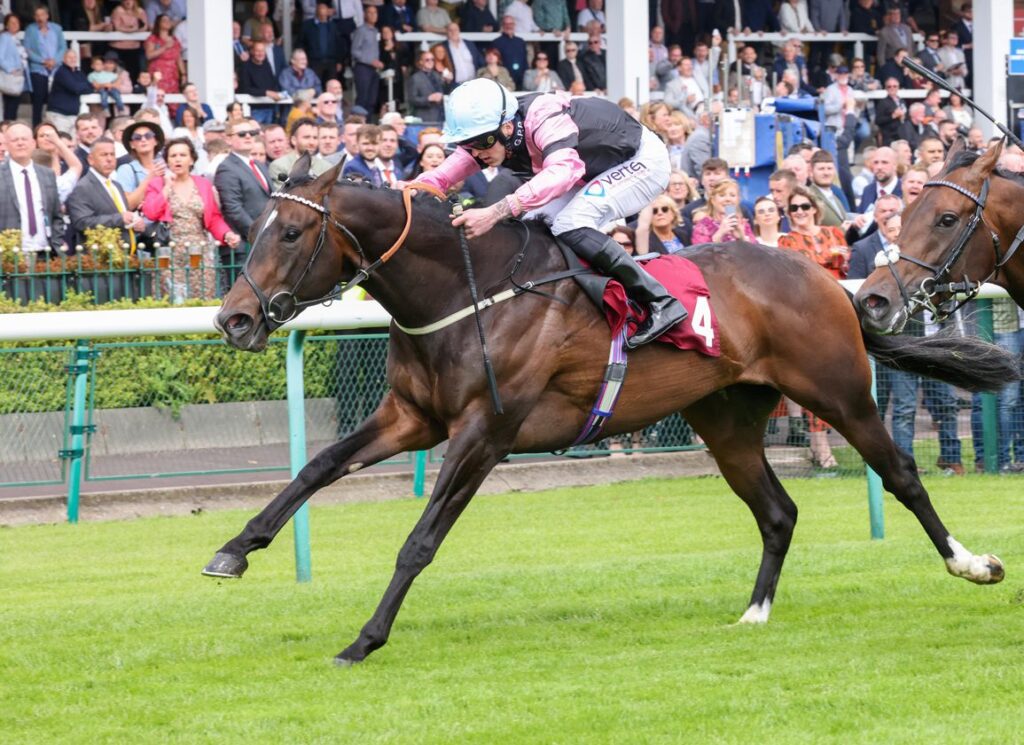 Derby Horses 2024 Lineup