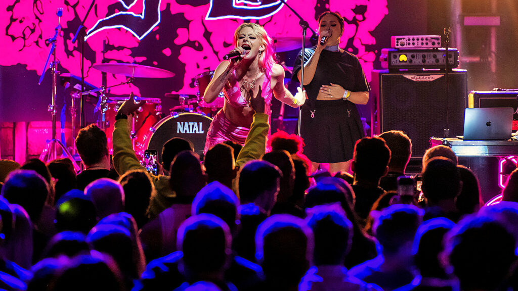 Participation Lineup for 2024 California Roots Music And Arts Festival