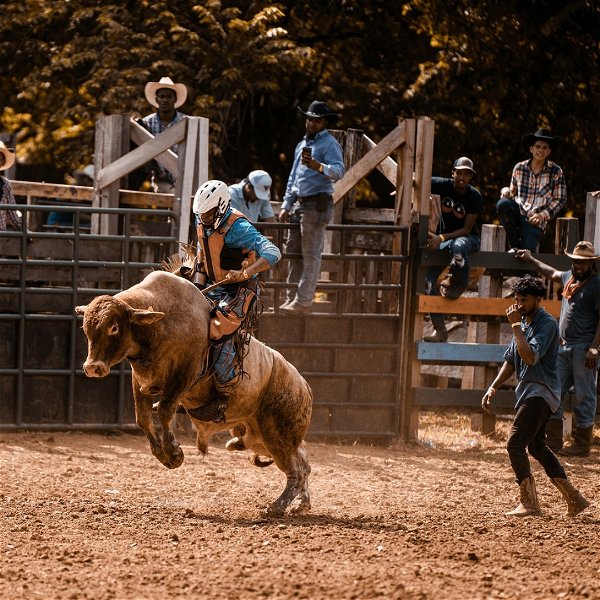 Pbr Tour 2024