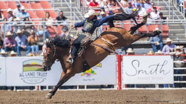 Rodeo San Antonio 2024 Lineup