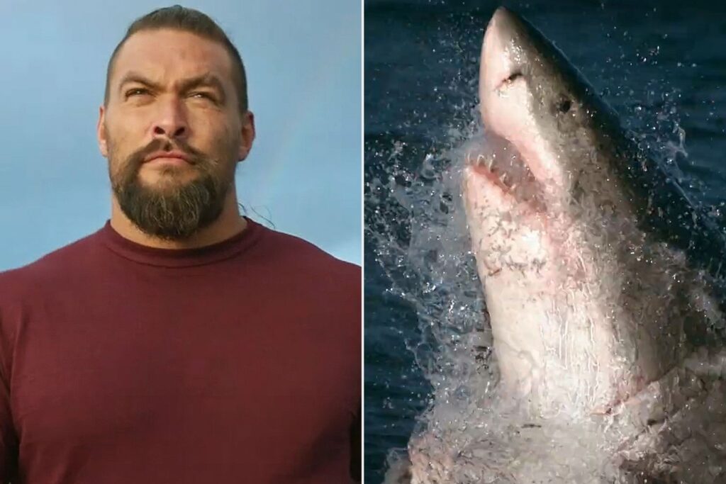 Shark Week Lineup 2024