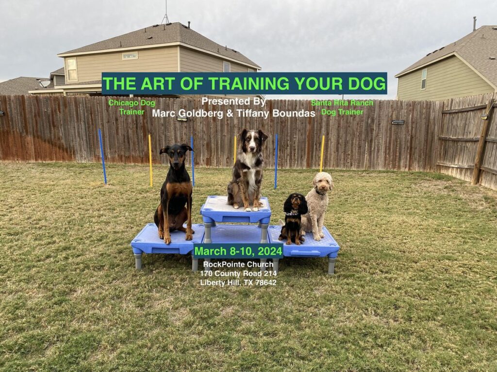 Winery Dogs Tour 2024