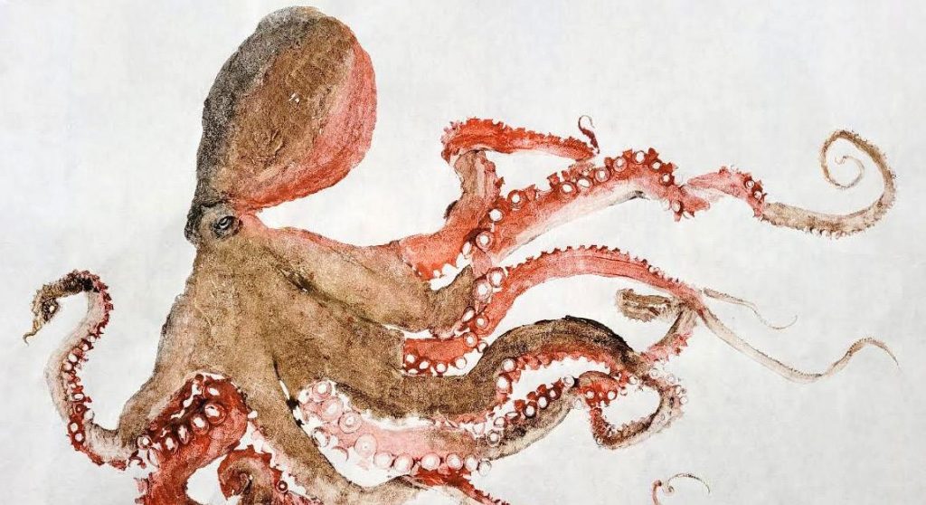 Aitkin County Fair 2024