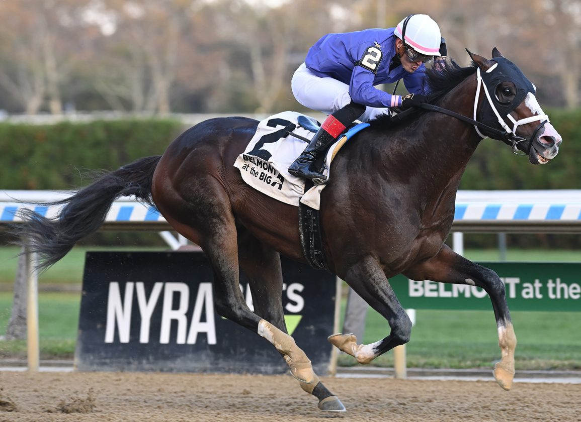 Belmont Stakes 2024 Lineup Unveiling the StarStudded Roster