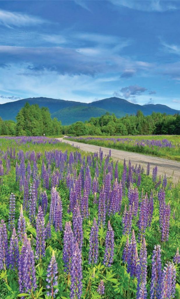 North Haverhill Fair 2024