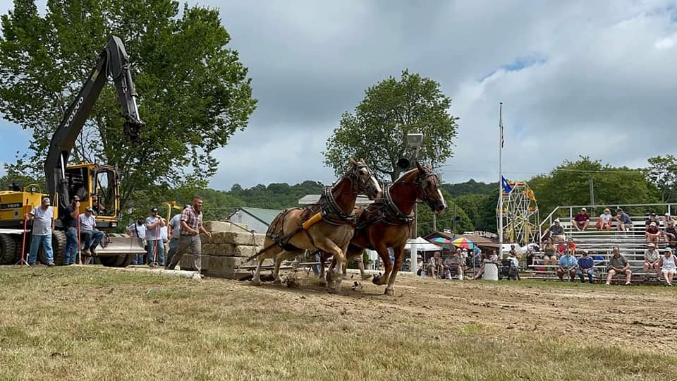 North Stonington Fair 2024 The Ultimate Excitement and Entertainment!