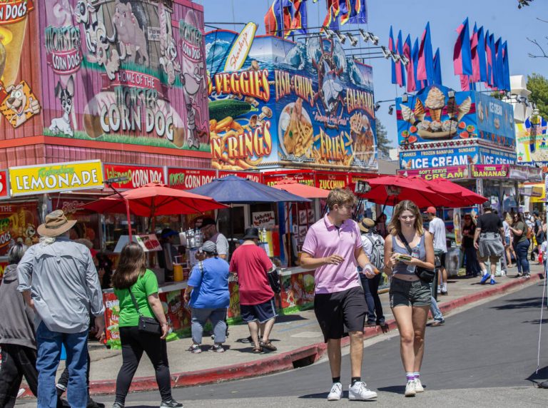 Sonoma County Fair 2024