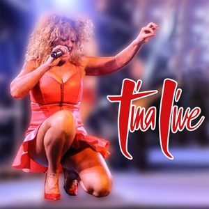 Tina Turner Concert 2024