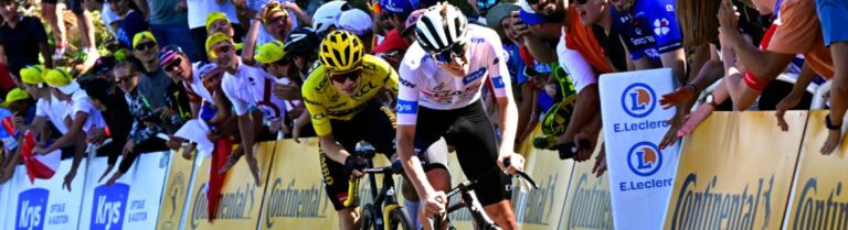 Wout Van Aert Tour De France 2024