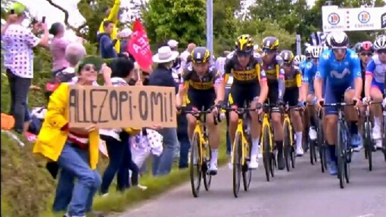 Fan Causes Crash Tour De France 2024