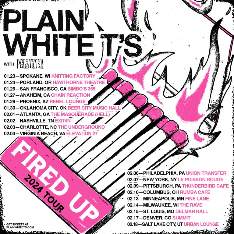 Pink Tour 2024 Nashville