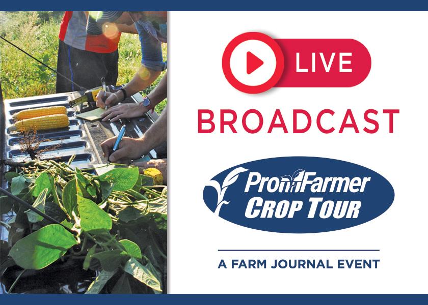 Pro Farmer Crop Tour 2024 Unveiling the Most Accurate Crop Yield Estimates