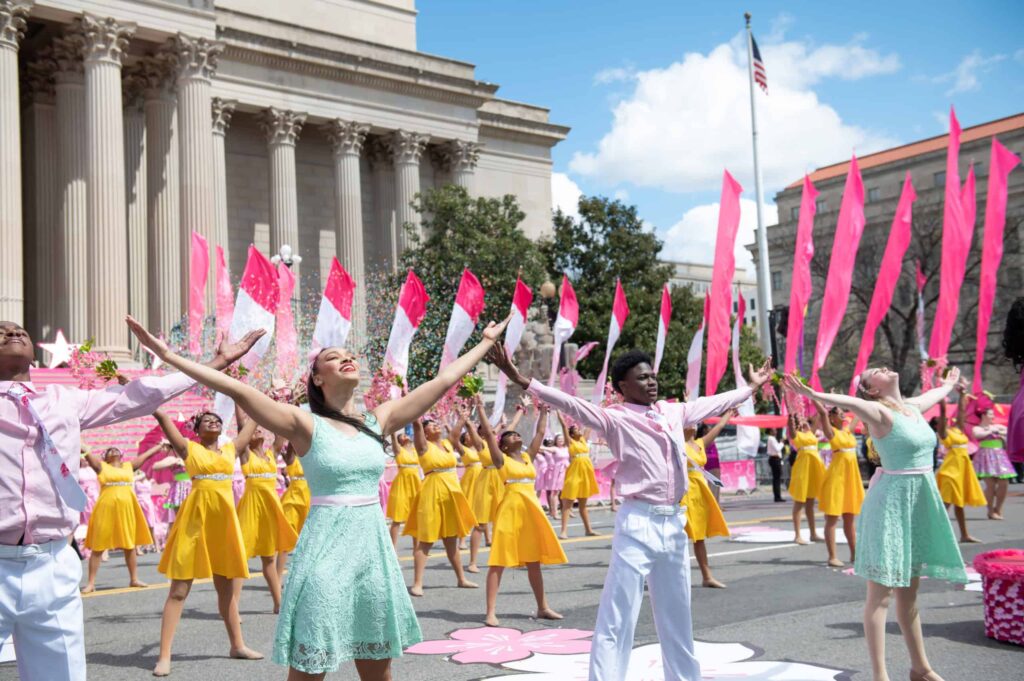 Cherry Blossom Festival DC 2025 A Spring Spectacle Not to Be Missed!