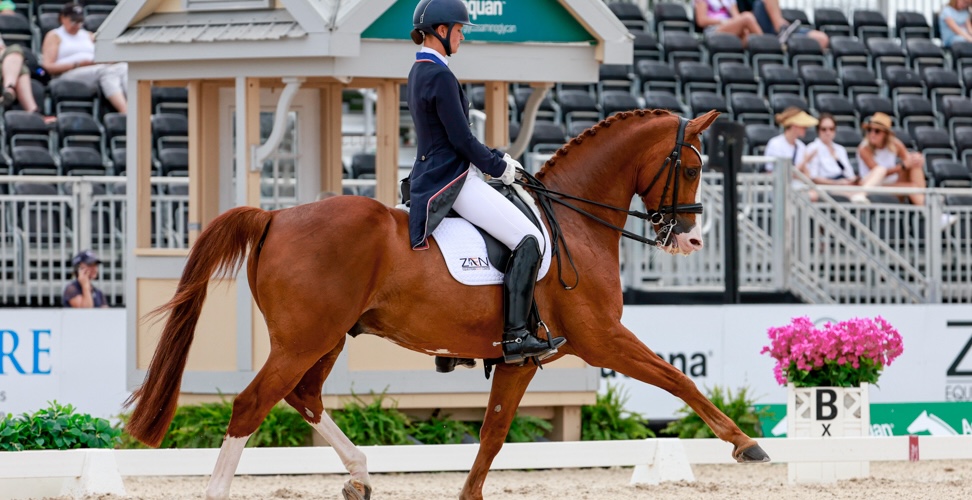 Unveiling the Spectacular Adequan Global Dressage Festival 2025 A