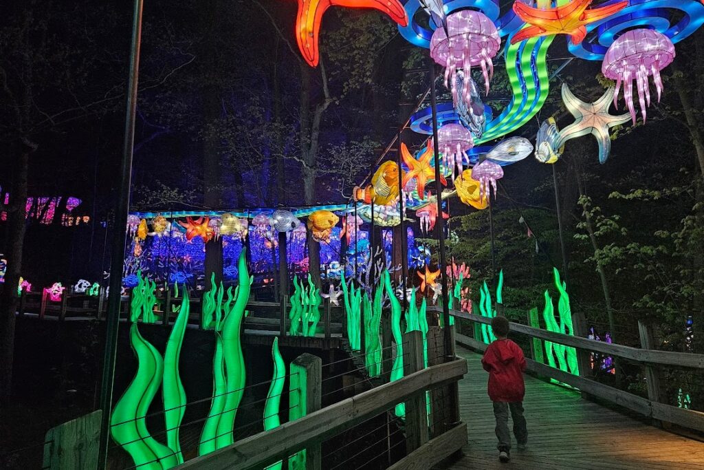 Glowing Excitement Grand Rapids Lantern Festival 2025 Illuminates the