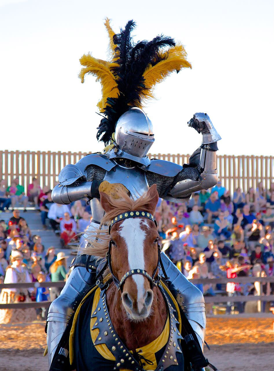 Step Back in Time AZ Renaissance Festival 2025 Unveiled!