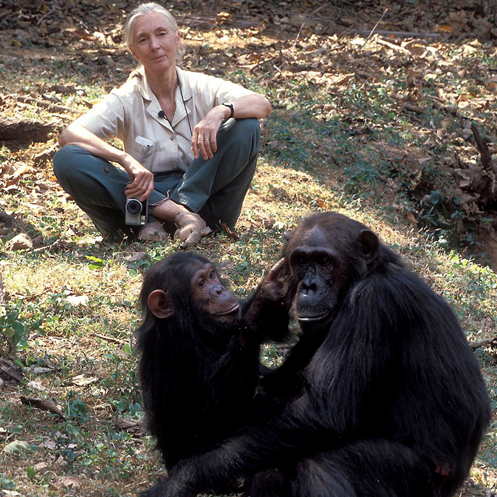 jane goodall tour medford ma