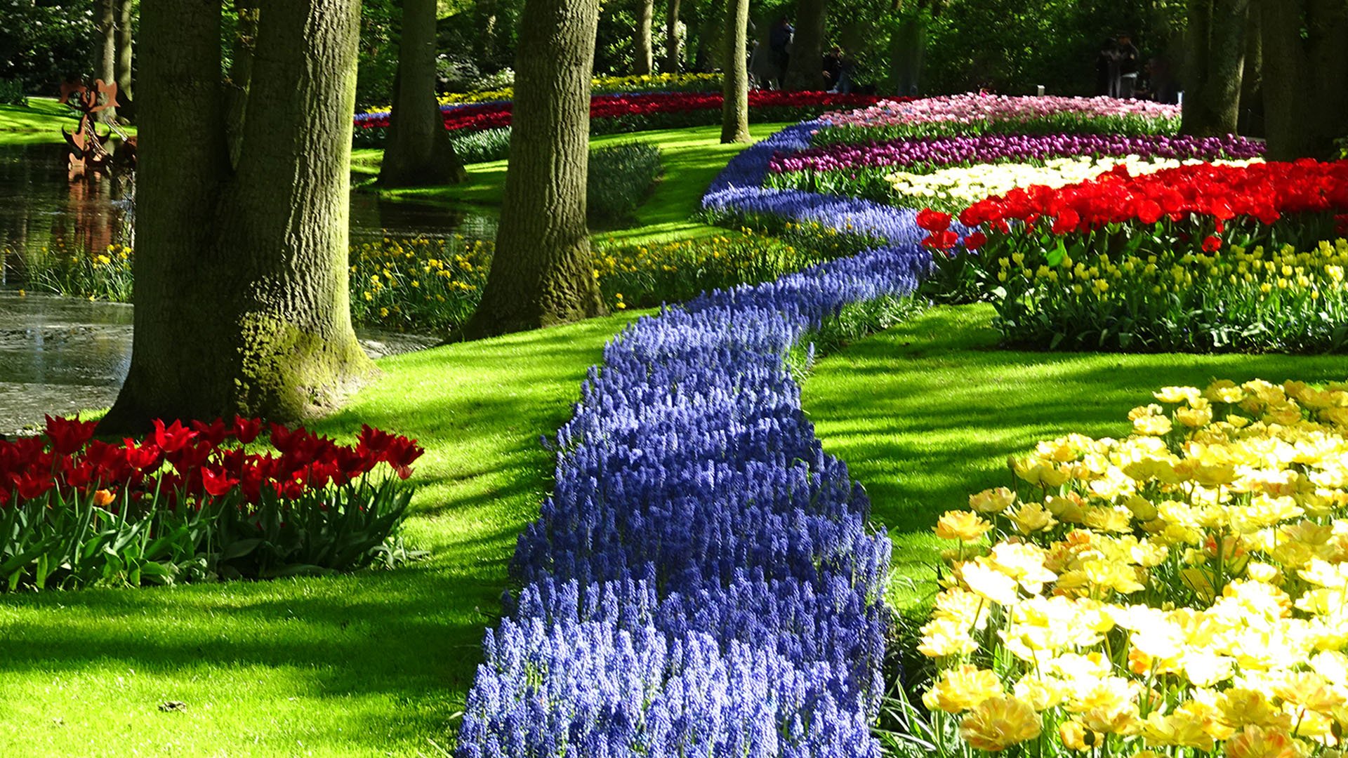 Keukenhof Tulip Festival 2025